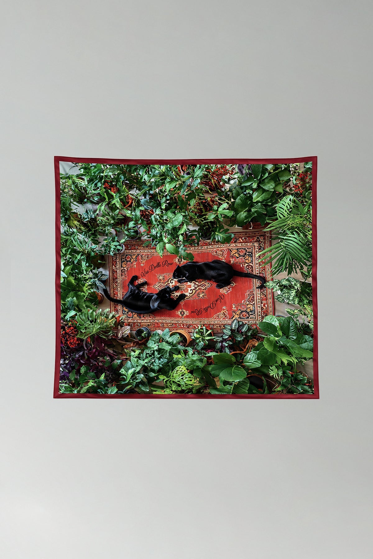 Multicolor Scarf Twopanthers