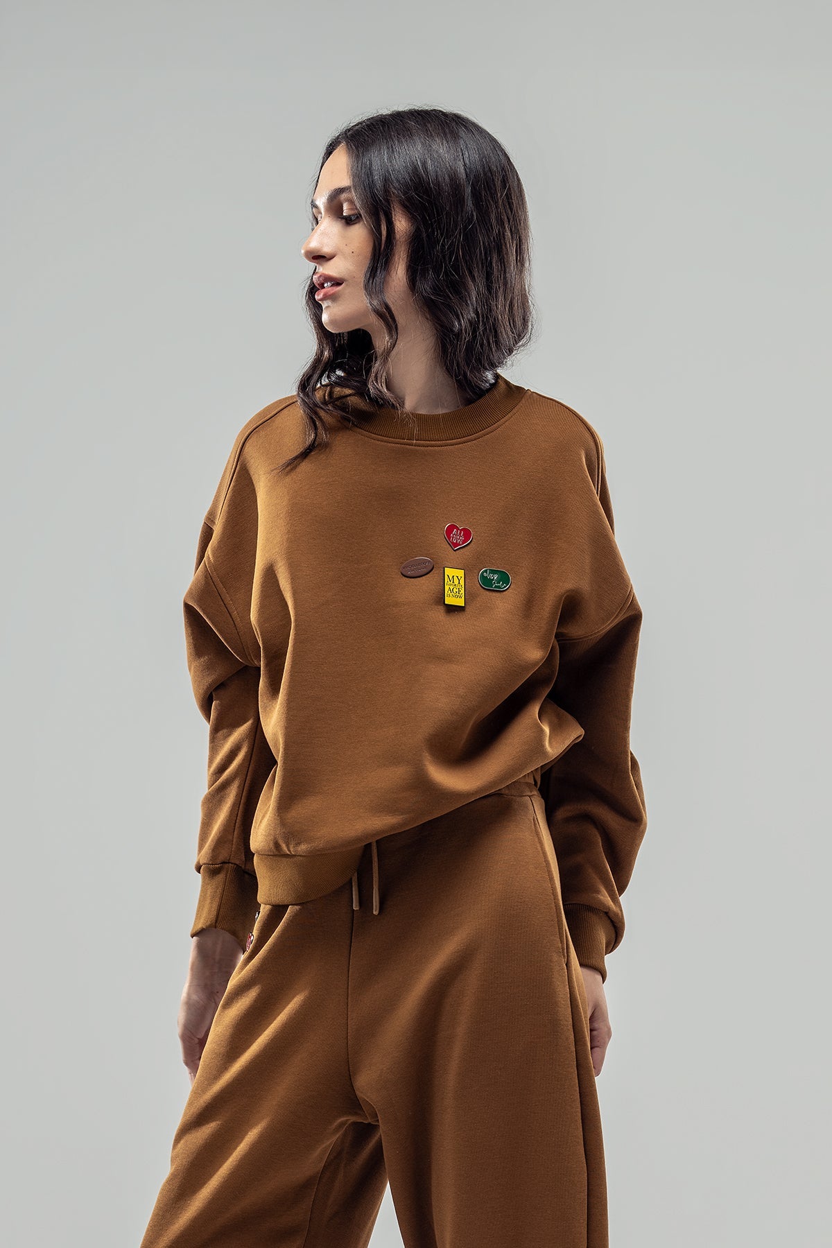 Brown Sweatshirt 20071